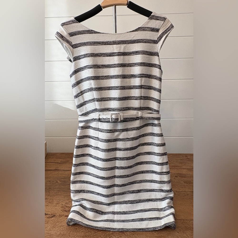 Banana Republic Black and White Striped Mini Dress